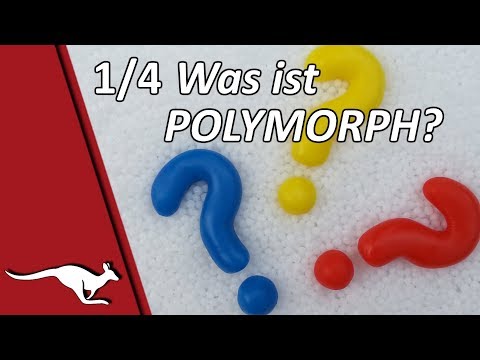 Polymorph 1/4: Was ist Polymorph?