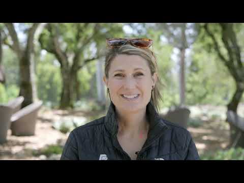 Trulove Studios video.