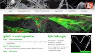 Broken Bones? Slap Some Spider Silk On It.