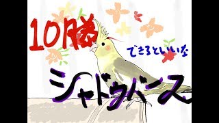 【シャドウバース】ガラのシャドバ・ルムマ歓迎