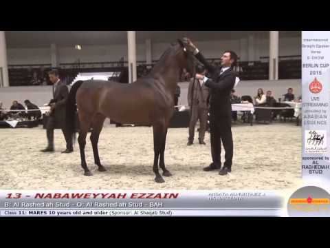N.13 NABAWEYYAH  - Berlin Cup S-Show Werder 2015 - Mares 10 years old and older (Class 11)
