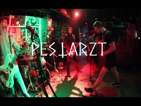 Pestarzt, Drotpad, Besni Pacov, Mucha Ladaco (Močvara 28.4.2019.)