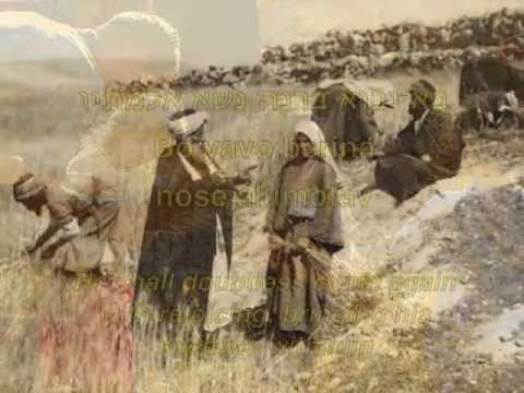 שיר המעלות - Shir Hama'alot