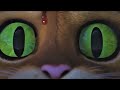 Blood In A DreamWorks Movie Puss In Boots The Last Wish Pusssinbootsthelastwish Dreamworks