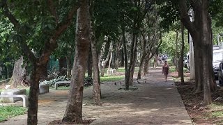 Vila Mariana: um dos bairros 'queridinhos' de SP
