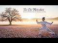 Tai Chi Melodies Plum Blossom Relaxing Traditional Chinese Music For Meditation Flow