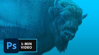 How to Make a Double Exposure in Photoshop | Adobe Creative Cloud