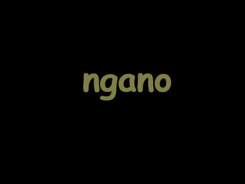 ngano - enchi