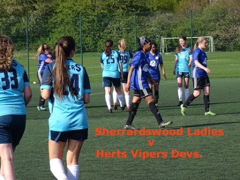 Sherrardswood Ladies v Herts Vipers Devs - Match Highlights