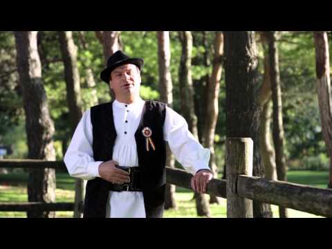 CALIN HORON - CATE DORURI AM AVUT