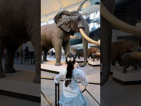MIA CORE NO MUSEU EM LONDRES
