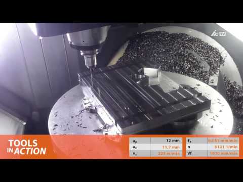 GARANT MasterSteel PickPocket in 1.0503