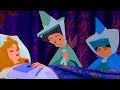 Sleeping Beauty Poor Aurora Sleeping Beauty Eu Portuguese