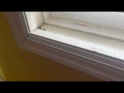 Cockroaches All Over the Home in Bridgewater, NJ