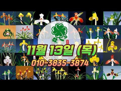 유튜브 썸네일