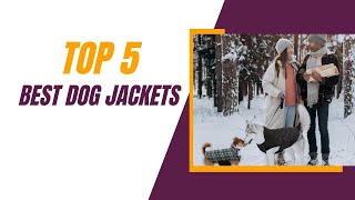 I'm a Dog Expert and These Are the BEST Dog Jackets of 2025!