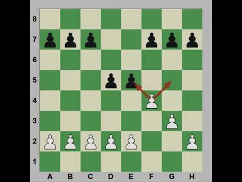 Mesimi 1 Guret dhe Rregullat e Shahut