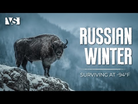 EXTREME WINTER IN RUSSIA | Survival at −70°C in the Most Brutal Cold on Earth – Documentary