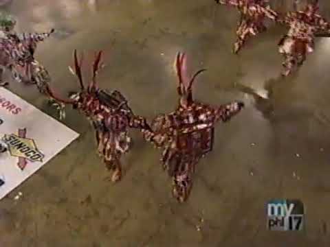 2008 Golden Crown Fancy Brigade "Robo-Motion" - 4th Place