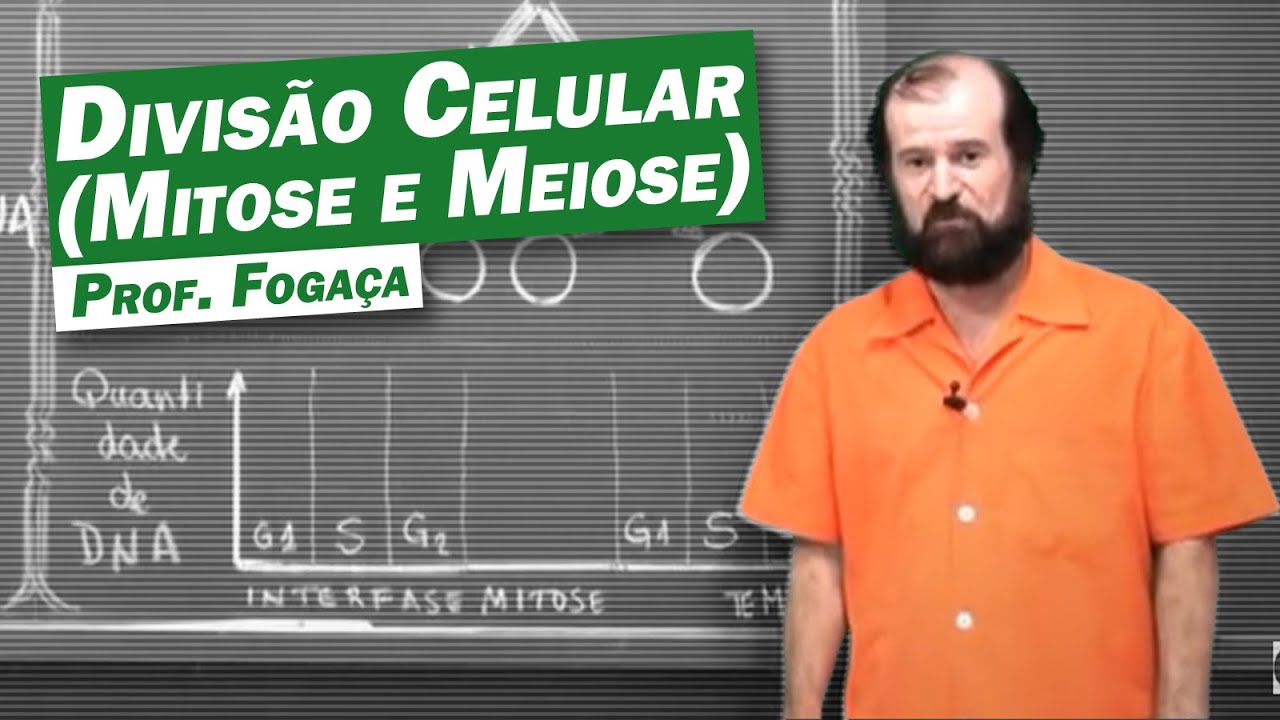 Biologia - Divisão Celular (Mitose e Meiose)