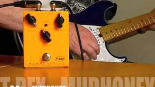 Video thumbnail for T-Rex: MUDHONEY by Brett Kingman