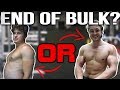 VEGAN BULK IS COMING TO AN END | Physique Update, Squat & Bench Breakdown | HERCULES