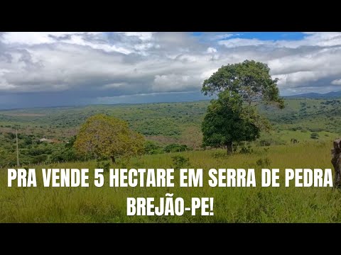 LINDA PROPRIEDADE DE 5 HECTARE PRA VENDER EM BREJÃO-PE ZAP 87-981049828 SITIO SERRA DE PEDRA