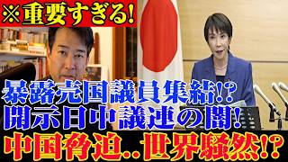 ※すべての日本人は見てください…高市内閣に関する緊急ニュース！媚中議員が暴走…じられない事態が発生した...【自民党/高市早苗/日本保守党】