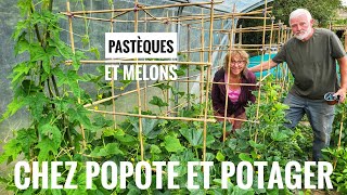 RÉUSSIR LA CULTURE DES  PASTÈQUES ET DES MELONS