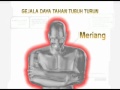 Reedit TVC Fatigon C Plus 2011