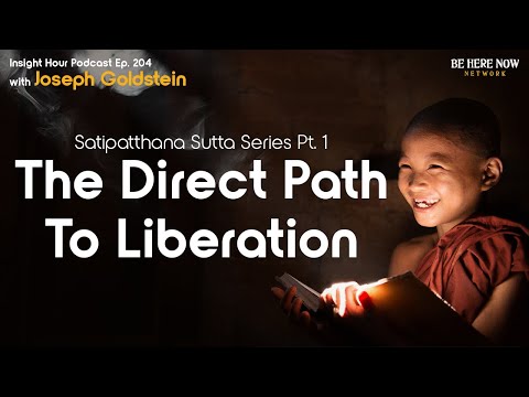 Joseph Goldstein's Satipatthana Sutta Series Pt.1: The Direct Path to Liberation–Insight Hour Ep.204