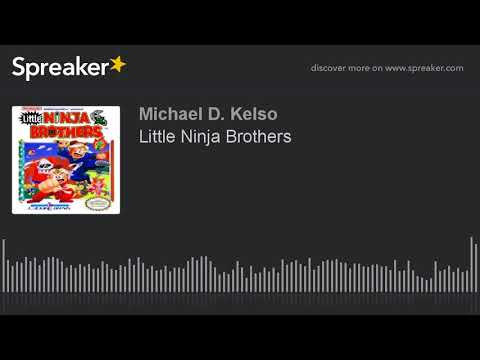 Little Ninja Brothers