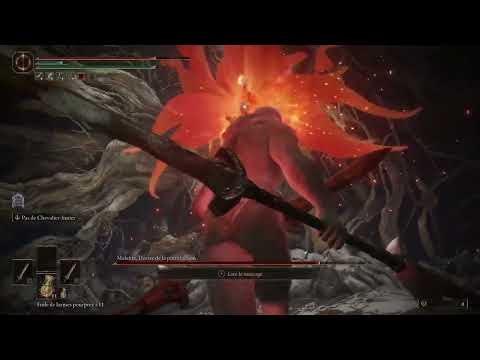 Malenia - Elden Ring ( No armor, summon, shield, magic )