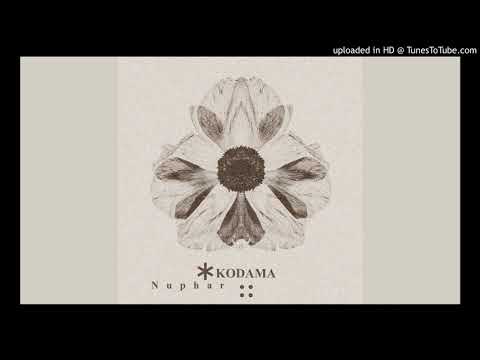 Kodama - Nonlinear System