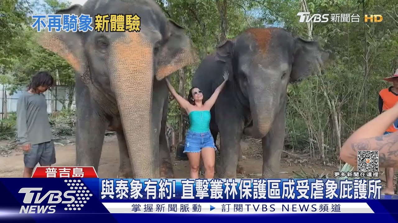 與泰象有約! 直擊叢林保護區成受虐象庇護所