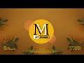 Kelvin Momo Kurhula Official Audio Full Album Amapiano 2024
