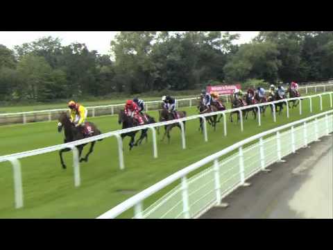 2013 Betfred Ebor - Tiger Cliff