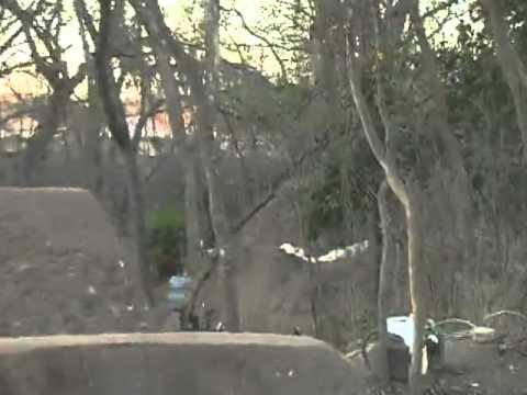 Clint Reynolds Trails Mix