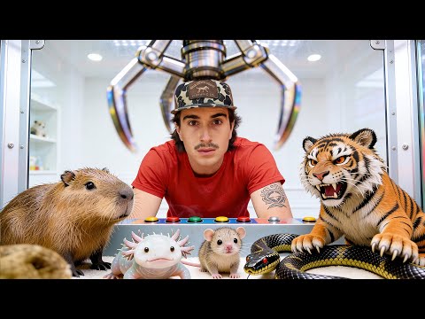 I Found a Live Animal Claw Machine Off the Web…