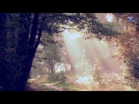 3May$un - Lucky Lightbeam$ (Prod.DrellOnTheTrack)