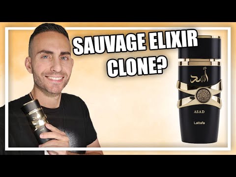 Dior Sauvage Elixir ON A BUDGET! | Lattafa Asad Fragrance Review!