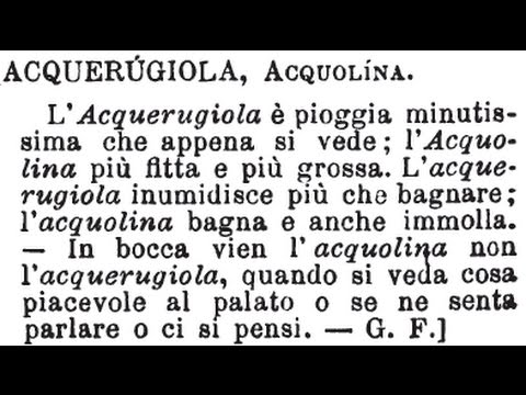 Acquerugiola che problema / Savinelli Punto Oro