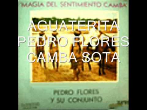 EL CAMBA SOTA -PEDRO FLORES AGUATERITA