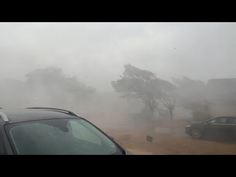 Wet Microburst - High Winds and Damage - Midlothian, TX 09-03-2023 #microburst