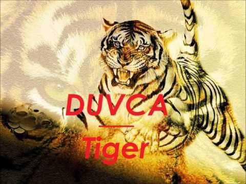 Duvca  - Tiger (Original mix )