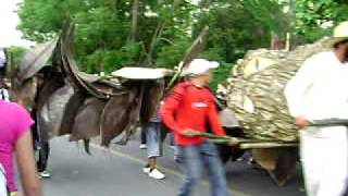 preview picture of video 'Mojiganga en Zacualpan de Amilpas 2009'