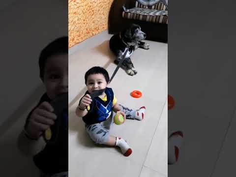 Ashveer playing with Jimmy