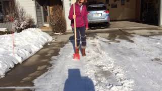 Sharon iltis "Ice on Driveway Removal Exercise"