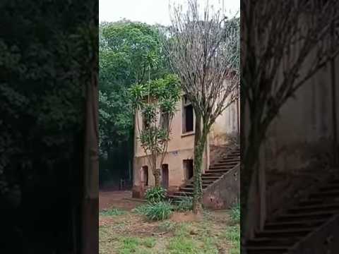 #viral_video #casarão abandonado de Araraquara são Paulo #shorts #brasil