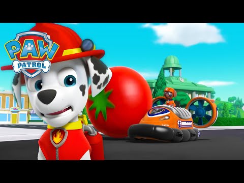 Beware of Giant Tomatoes! 🍅 - PAW Patrol - Cartoons for Kids
